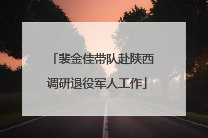 裴金佳带队赴陕西调研退役军人工作