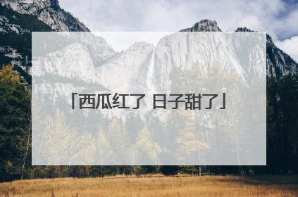 西瓜红了 日子甜了