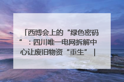 西博会上的“绿色密码”：四川唯一电网拆解中心让废旧物资“重生”｜西博寻“新”记