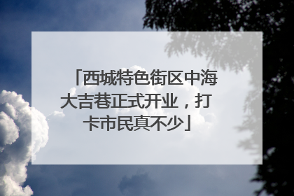 西城特色街区中海大吉巷正式开业，打卡市民真不少
