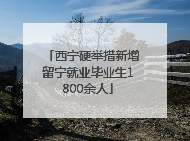 西宁硬举措新增留宁就业毕业生1800余人