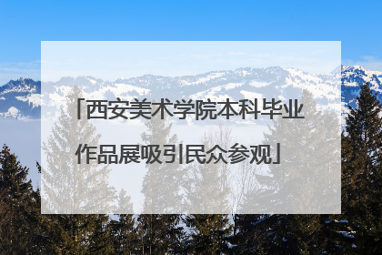 西安美术学院本科毕业作品展吸引民众参观