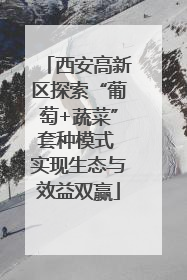 西安高新区探索“葡萄+蔬菜”套种模式 实现生态与效益双赢