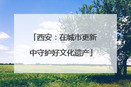 西安：在城市更新中守护好文化遗产