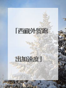 西藏外贸跑出加速度
