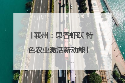 襄州：果香虾跃 特色农业激活新动能