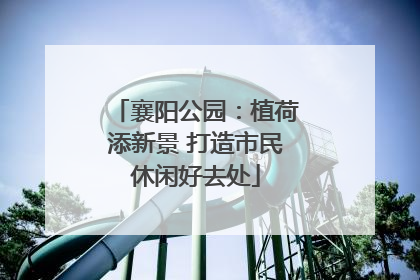 襄阳公园：植荷添新景 打造市民休闲好去处