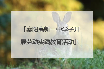 襄阳高新一中学子开展劳动实践教育活动