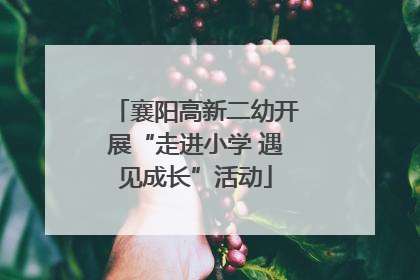 襄阳高新二幼开展“走进小学 遇见成长”活动