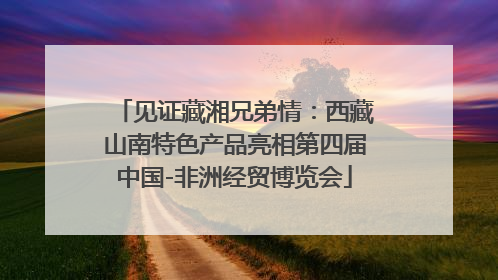 见证藏湘兄弟情：西藏山南特色产品亮相第四届中国-非洲经贸博览会