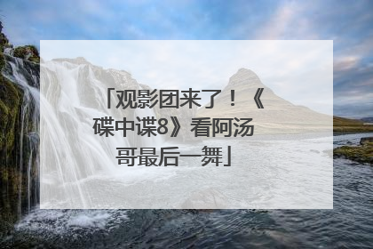 观影团来了！《碟中谍8》看阿汤哥最后一舞