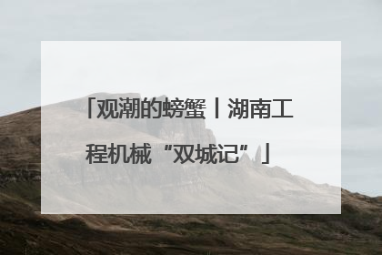 观潮的螃蟹丨湖南工程机械“双城记”