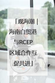 观海潮｜海南自贸港与RCEP区域合作互促共进