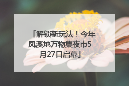 解锁新玩法！今年凤溪地万物集夜市5月27日启幕