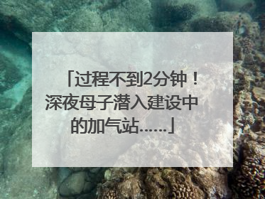 过程不到2分钟！深夜母子潜入建设中的加气站……