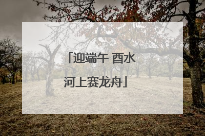 迎端午 酉水河上赛龙舟