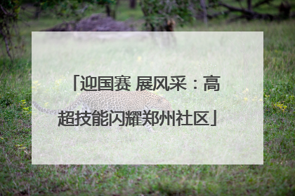 迎国赛 展风采：高超技能闪耀郑州社区