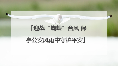 迎战“蝴蝶”台风 保亭公安风雨中守护平安