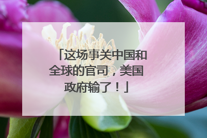 这场事关中国和全球的官司，美国政府输了！
