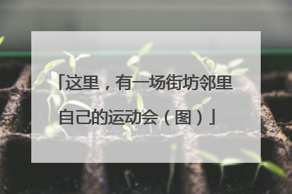 这里，有一场街坊邻里自己的运动会（图）