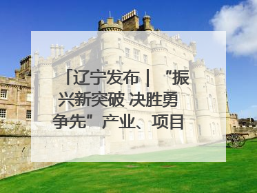 辽宁发布｜“振兴新突破 决胜勇争先”产业、项目、民生齐发力 葫芦岛按下决胜之年“加速键”