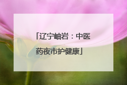辽宁岫岩：中医药夜市护健康