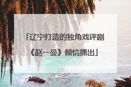 辽宁打造的独角戏评剧《赵一曼》倾情播出