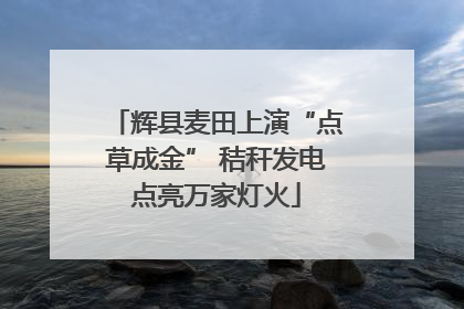 辉县麦田上演“点草成金” 秸秆发电点亮万家灯火