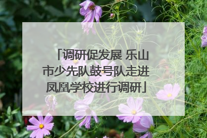 调研促发展 乐山市少先队鼓号队走进凤凰学校进行调研