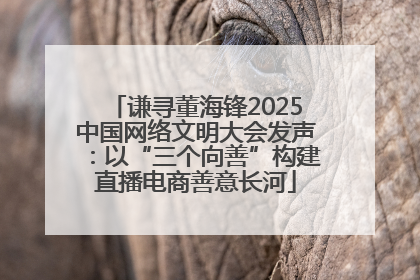 谦寻董海锋2025中国网络文明大会发声：以“三个向善”构建直播电商善意长河