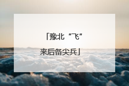 豫北“飞”来后备尖兵