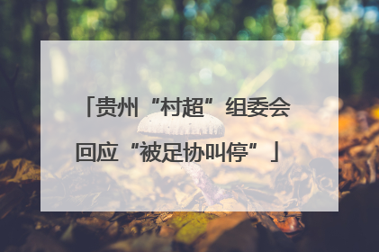 贵州“村超”组委会回应“被足协叫停”