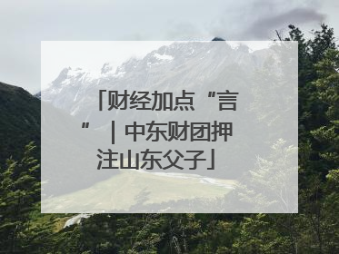 财经加点“言”｜中东财团押注山东父子