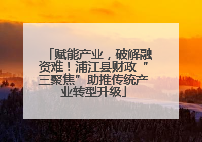 赋能产业，破解融资难！浦江县财政“三聚焦”助推传统产业转型升级