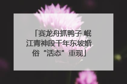 赛龙舟抓鸭子 岷江青神段千年东坡婚俗“活态”重现