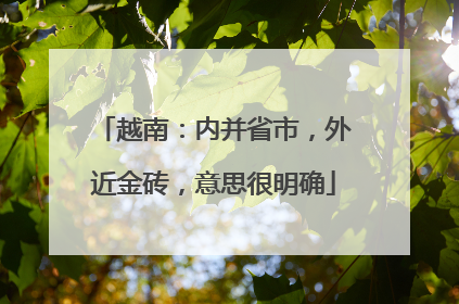 越南：内并省市，外近金砖，意思很明确