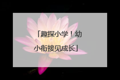 趣探小学！幼小衔接见成长
