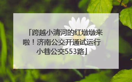 跨越小清河的红墩墩来啦！济南公交开通试运行小巷公交553路