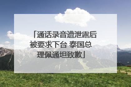 通话录音遭泄露后被要求下台 泰国总理佩通坦致歉