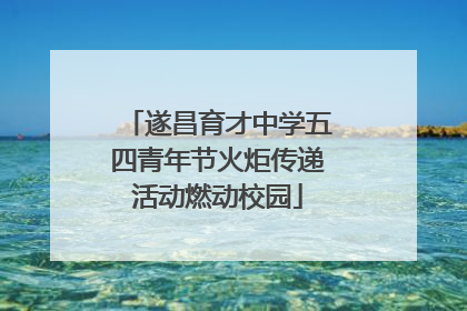遂昌育才中学五四青年节火炬传递活动燃动校园
