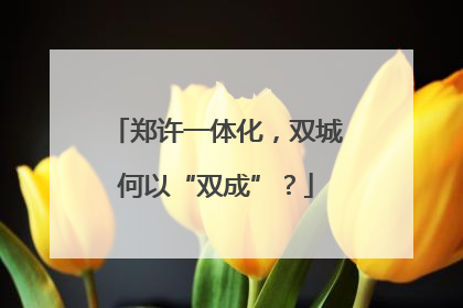郑许一体化，双城何以“双成”？