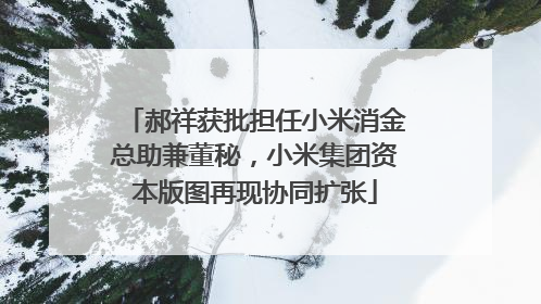 郝祥获批担任小米消金总助兼董秘，小米集团资本版图再现协同扩张