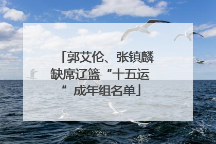 郭艾伦、张镇麟缺席辽篮“十五运”成年组名单