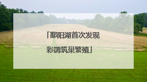 鄱阳湖首次发现彩鹮筑巢繁殖