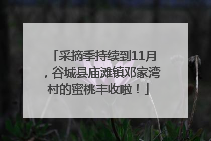 采摘季持续到11月，谷城县庙滩镇邓家湾村的蜜桃丰收啦！