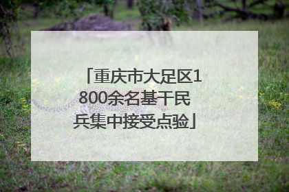 重庆市大足区1800余名基干民兵集中接受点验