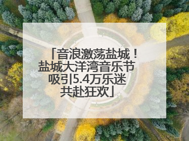 音浪激荡盐城！盐城大洋湾音乐节吸引5.4万乐迷共赴狂欢