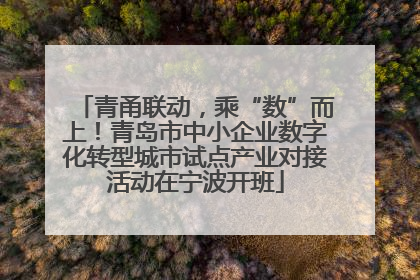 青甬联动，乘“数”而上！青岛市中小企业数字化转型城市试点产业对接活动在宁波开班