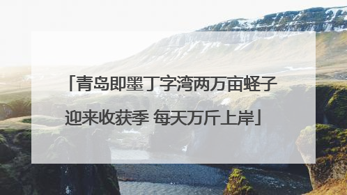 青岛即墨丁字湾两万亩蛏子迎来收获季 每天万斤上岸