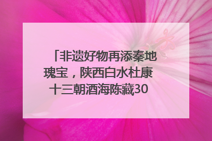 非遗好物再添秦地瑰宝，陕西白水杜康十三朝酒海陈藏30年别具一格